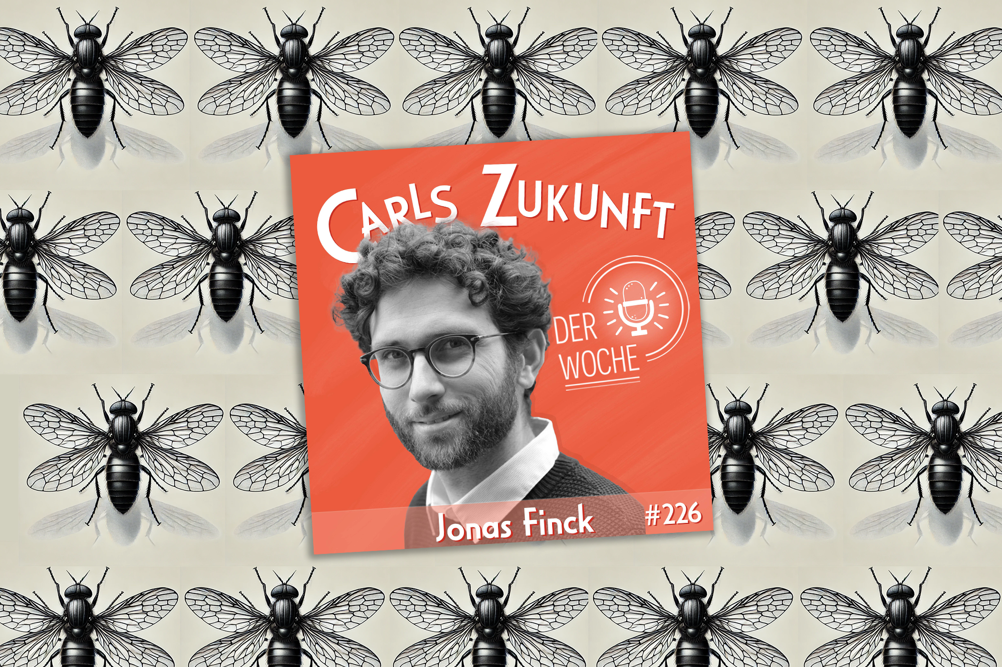 Eine Zeichnung der Schwarzen Soldatenfliege, darauf das Cover vom Podcast in Orange mit dem Bild von Jonas Finck.